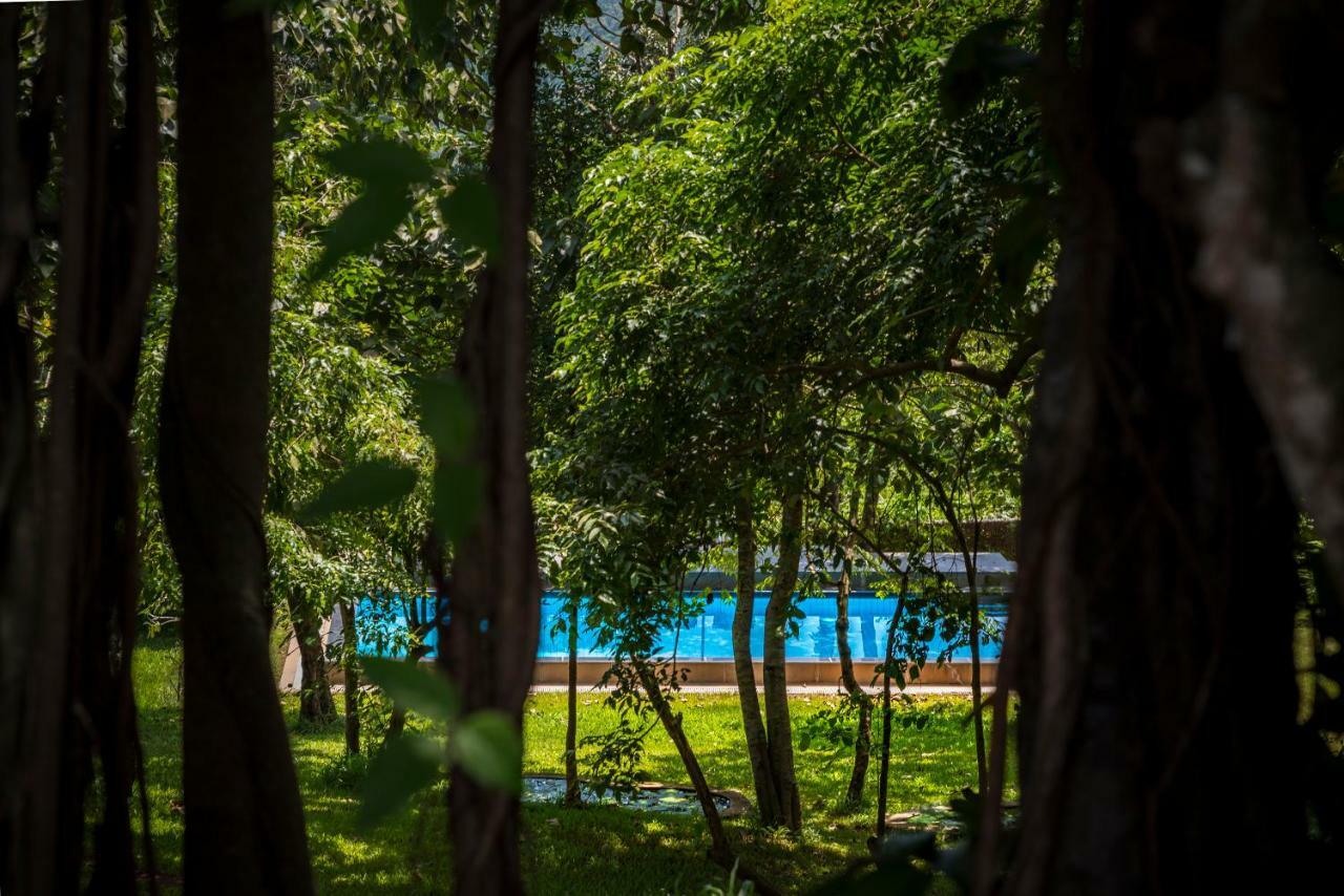 Hotel The Postcard Velha, Goa Goa Velha Esterno foto